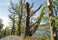 Rondje Lake District op 3-5-2012 (134)
